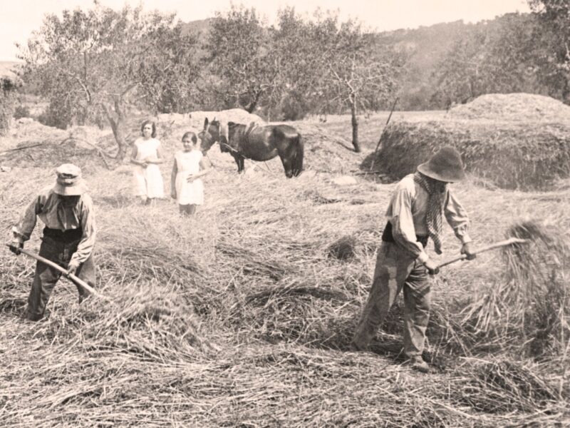 Today's Women Affecting Change in a Challenged Ag Market