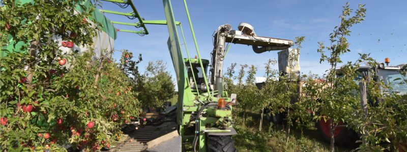 Farm Resilience beyond 2020: 3 Critical Actions for Ag Businesses