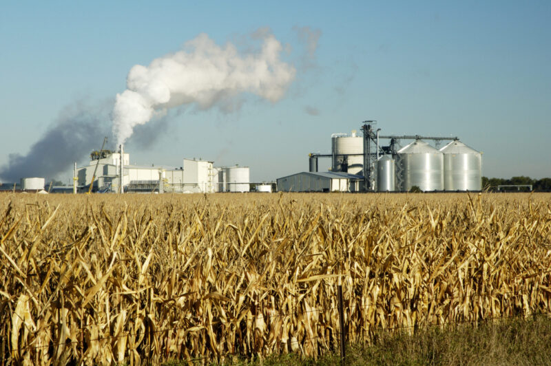 New Year Brings Potential for Funding Support for Biofuels