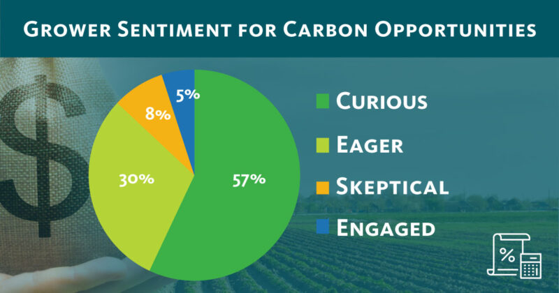 What’s Ahead for the Carbon Market