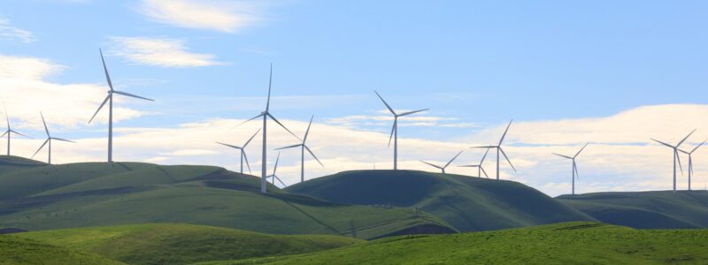 Wind and Solar Offer Diversified Revenue for U.S. Farmers and Ranchers