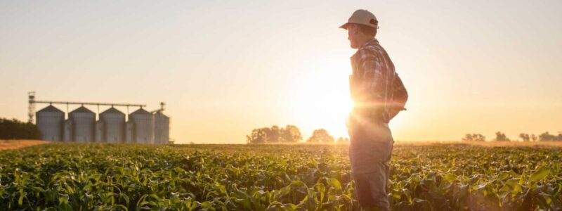 leading harvest