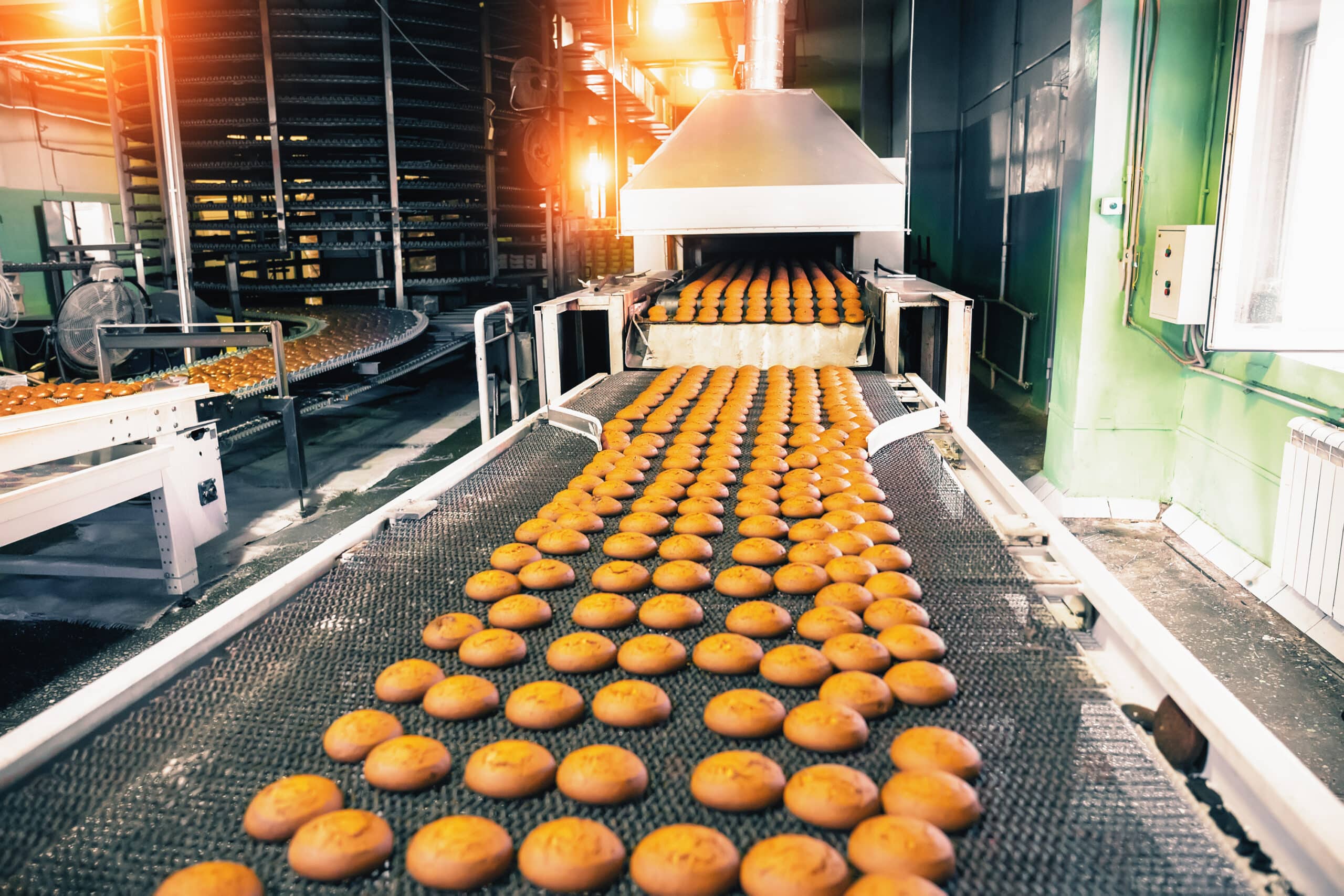 Bakery production line with sweet cookies on conveyor belt in confectionery factory workshop, food production manufacturing