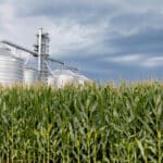 biofuel business plan