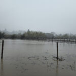 flooded field