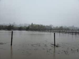 flooded field