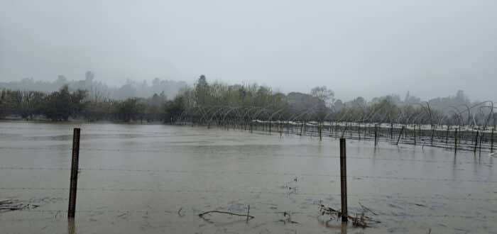 flooded field