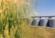 Collage of field with agricultural silos, grain elevator for storage and drying of cereals