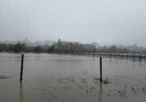 flooded field