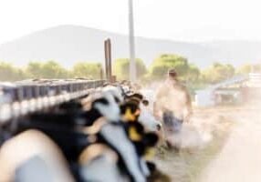 Early morning portrait of a dairy farmer walking away from camera. Steaming breath of cows hazes the early morning sunshine.